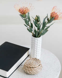 Gratitude journal and plant